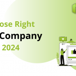 Software development company